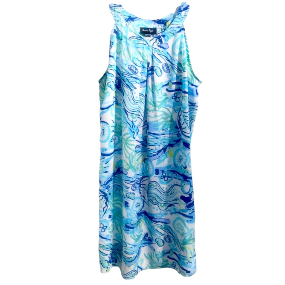 Charlie Paige Spring Shift Dress S/P